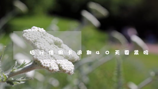 招行信用卡逾期40天要紧吗