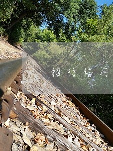 招行信用卡逾期4天会上征信 招行信用卡逾期4天会上征信