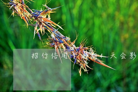 招行信用卡逾期4天会影响征信吗 招行信用卡逾期4天会影响征信吗