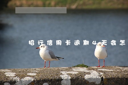 招行信用卡逾期4天会怎样