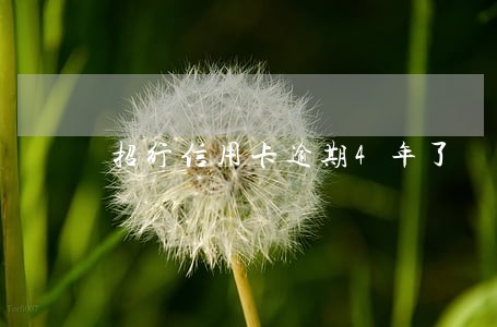 招行信用卡逾期4年了 招行信用卡逾期4年了