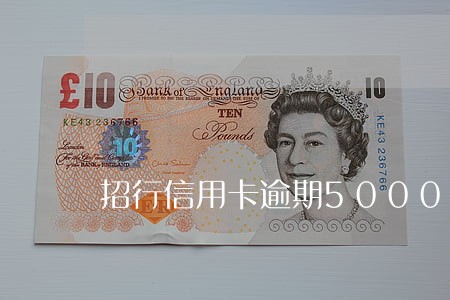 招行信用卡逾期5000三个月 招行信用卡逾期5000三个月