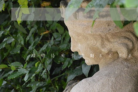 招行信用卡逾期5000以下 招行信用卡逾期5000以下