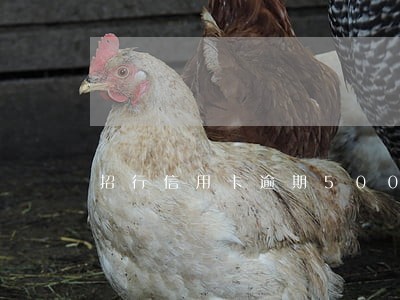 招行信用卡逾期5000怎么办