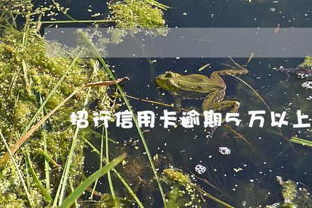 招行信用卡逾期5万以上的 招行信用卡逾期5万以上的