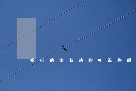 招行信用卡逾期5天的后果 招行信用卡逾期5天的后果