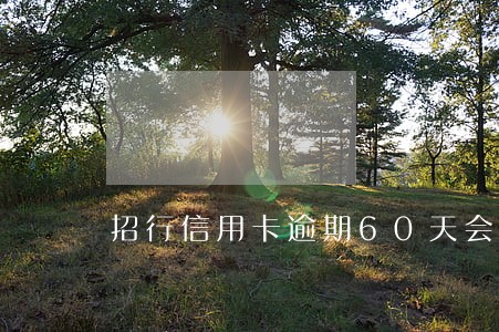 招行信用卡逾期60天会冻卡吗 招行信用卡逾期60天会冻卡吗
