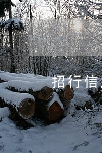 招行信用卡逾期6万 招行信用卡逾期6万