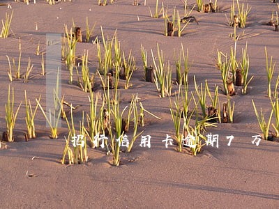 招行信用卡逾期7万 招行信用卡逾期7万