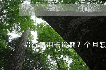 招行信用卡逾期7个月怎么协商 招行信用卡逾期7个月怎么协商