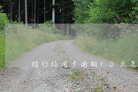 招行信用卡逾期90天怎么协商 招行信用卡逾期90天怎么协商