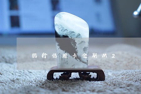 招行信用卡逾期M2