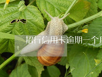招行信用卡逾期一个月会上征信吗 招行信用卡逾期一个月会上征信吗