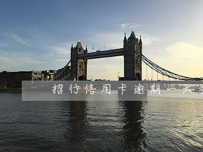 招行信用卡逾期一天利息