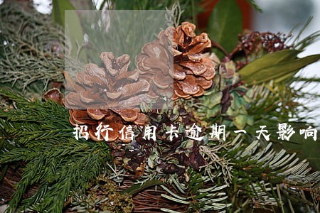 招行信用卡逾期一天影响征信