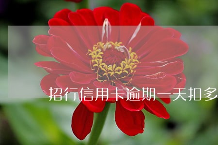 招行信用卡逾期一天扣多少钱 招行信用卡逾期一天扣多少钱