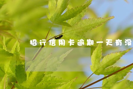 招行信用卡逾期一天有没有事情 招行信用卡逾期一天有没有事情