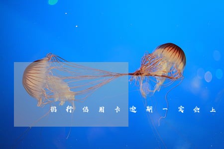 招行信用卡逾期一定会上门么 招行信用卡逾期一定会上门么