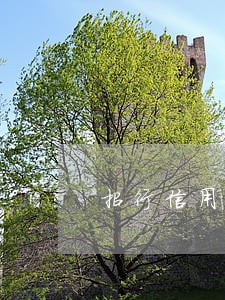 招行信用卡逾期一年5000 招行信用卡逾期一年5000