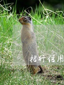 招行信用卡逾期一年半 招行信用卡逾期一年半