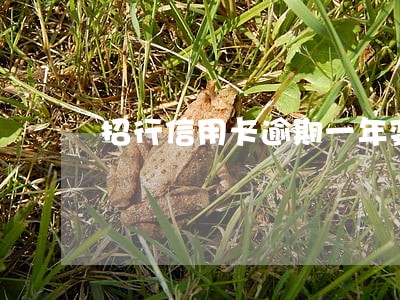 招行信用卡逾期一年变呆账