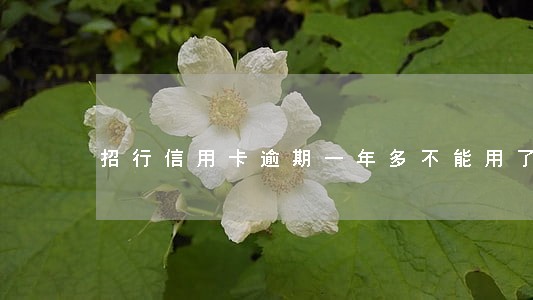 招行信用卡逾期一年多不能用了 招行信用卡逾期一年多不能用了