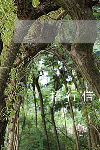 招行信用卡逾期一次征信 招行信用卡逾期一次征信