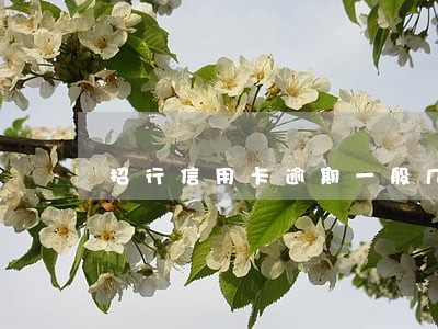招行信用卡逾期一般几天 招行信用卡逾期一般几天