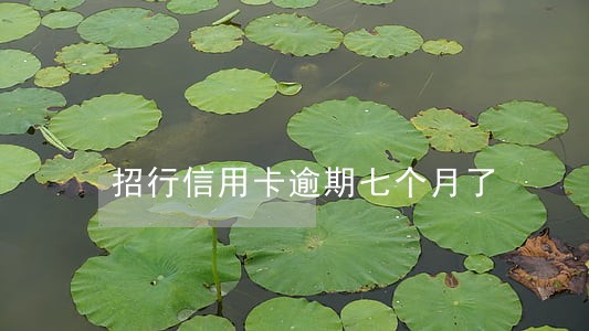 招行信用卡逾期七个月了