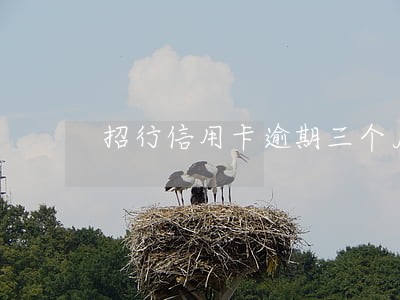 招行信用卡逾期三个月不到一千 招行信用卡逾期三个月不到一千