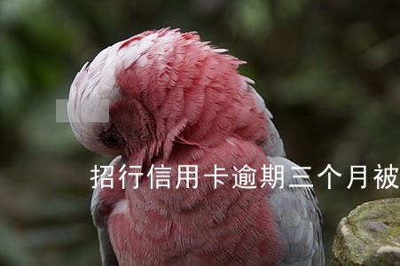 招行信用卡逾期三个月被起诉 招行信用卡逾期三个月被起诉