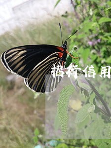 招行信用卡逾期三个月要家访 招行信用卡逾期三个月要家访
