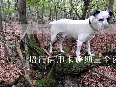 招行信用卡逾期三个还贷款的 招行信用卡逾期三个还贷款的