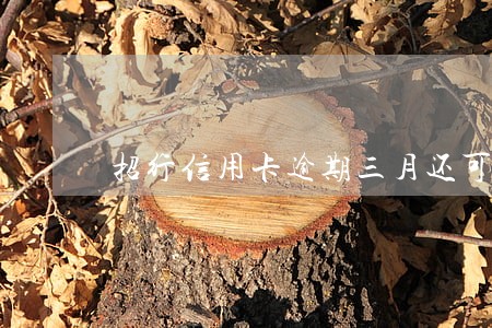 招行信用卡逾期三月还可以协商吗 招行信用卡逾期三月还可以协商吗