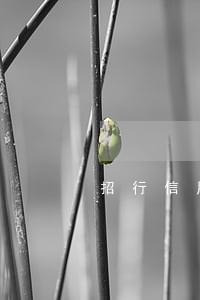 招行信用卡逾期上公司 招行信用卡逾期上公司