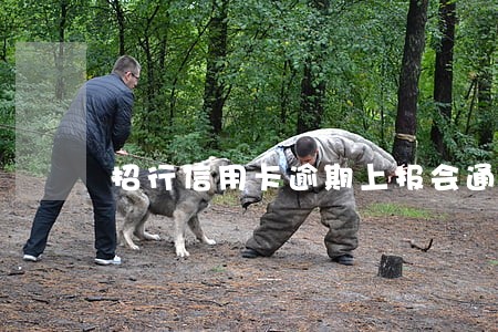 招行信用卡逾期上报会通知吗
