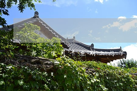 招行信用卡逾期上门了 招行信用卡逾期上门了