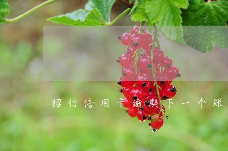 招行信用卡逾期下一个账单日之前 招行信用卡逾期下一个账单日之前