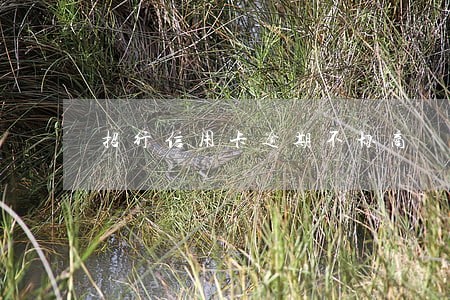 招行信用卡逾期不协商 招行信用卡逾期不协商