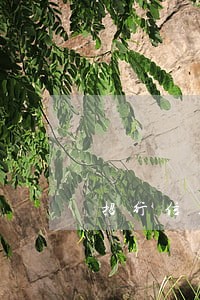 招行信用卡逾期不发短信