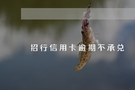 招行信用卡逾期不承兑