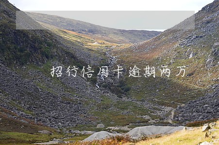 招行信用卡逾期两万 招行信用卡逾期两万