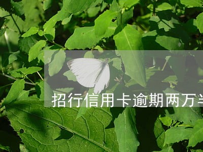 招行信用卡逾期两万半年了 招行信用卡逾期两万半年了