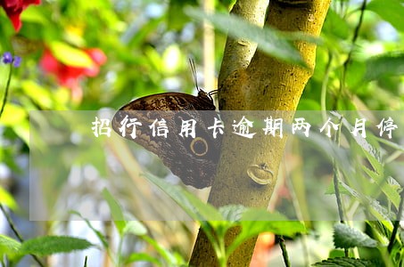 招行信用卡逾期两个月停卡
