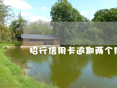 招行信用卡逾期两个月冻结 招行信用卡逾期两个月冻结