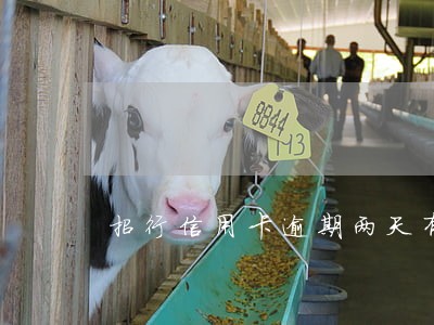 招行信用卡逾期两天有事吗