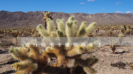 招行信用卡逾期两年了 招行信用卡逾期两年了