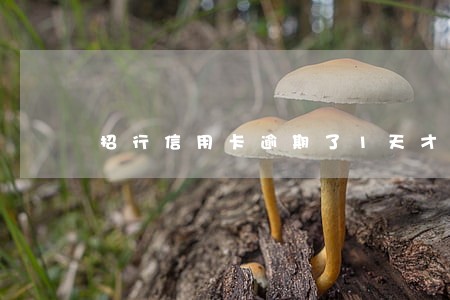 招行信用卡逾期了1天才还款 招行信用卡逾期了1天才还款