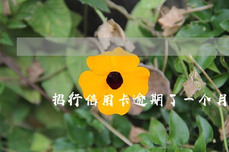 招行信用卡逾期了一个月 招行信用卡逾期了一个月
