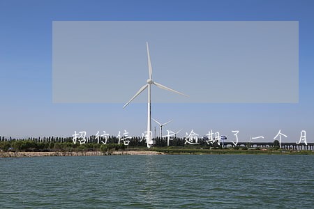 招行信用卡逾期了一个月怎么解决 招行信用卡逾期了一个月怎么解决